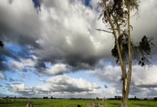 张信哲泰州演唱会上！令人恶心的一幕发生了，男子当众实施猥亵。