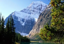 44岁孙菲菲宣布离婚：没必要假装婚姻美满，现在很好；此前回应剧组打人事件，否认整容