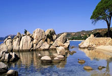 奇瑞墨甲10月公开发布并开启招商 车企造人形机器人加速“上岗”